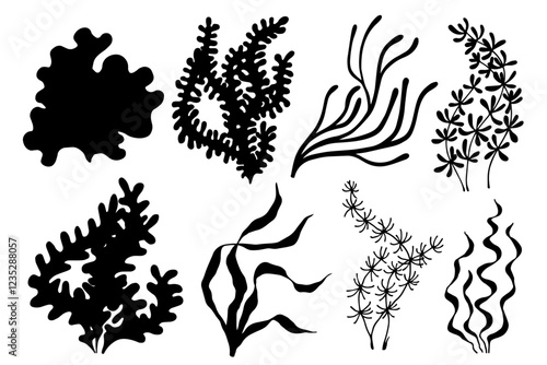 Set of silhouettes, stamps of sea plants, various algae. Vector graphics.
