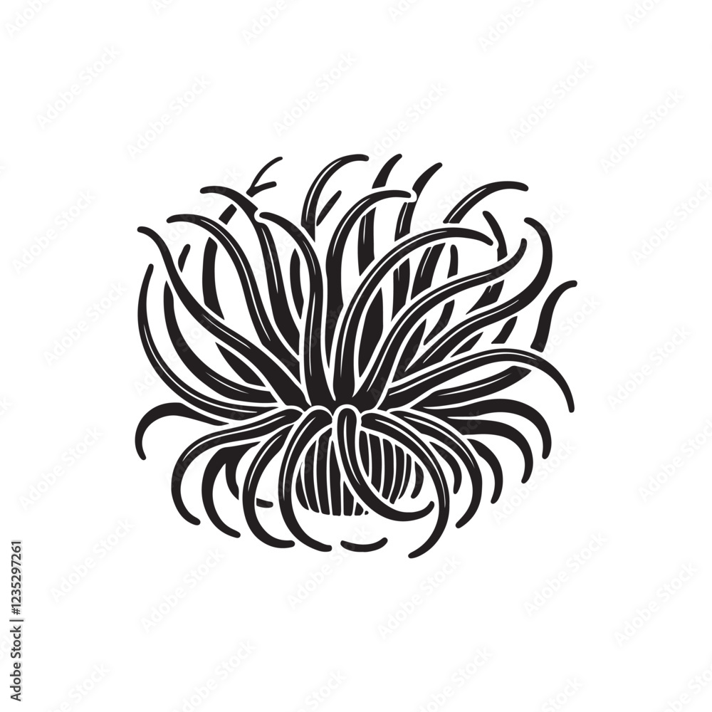 Fototapeta premium Black Color Sea Anemone silhouette design Vector Illustration, Solid White Background (5).eps