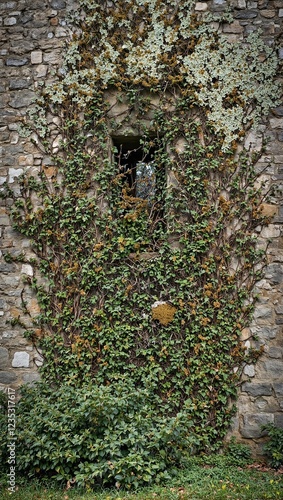 Moss covered castle wall with honeysuckle vines photo