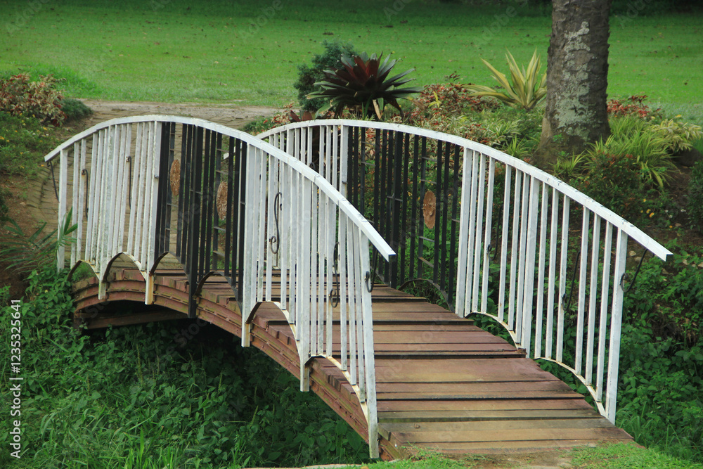 Bridge in a park surrounded by lush trees visible in the afternoon Bridge in a park surrounded by lush trees visible in the afternoon