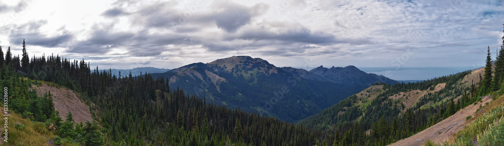 Fototapeta premium Hurricane Ridge Olympic National Park views from hiking trails by Port Angeles Washington USA