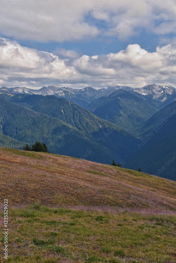 Hurricane Ridge Olympic National Park views from hiking trails by Port Angeles Washington USA Hurricane Ridge Olympic National Park views from hiking trails by Port Angeles Washington USA