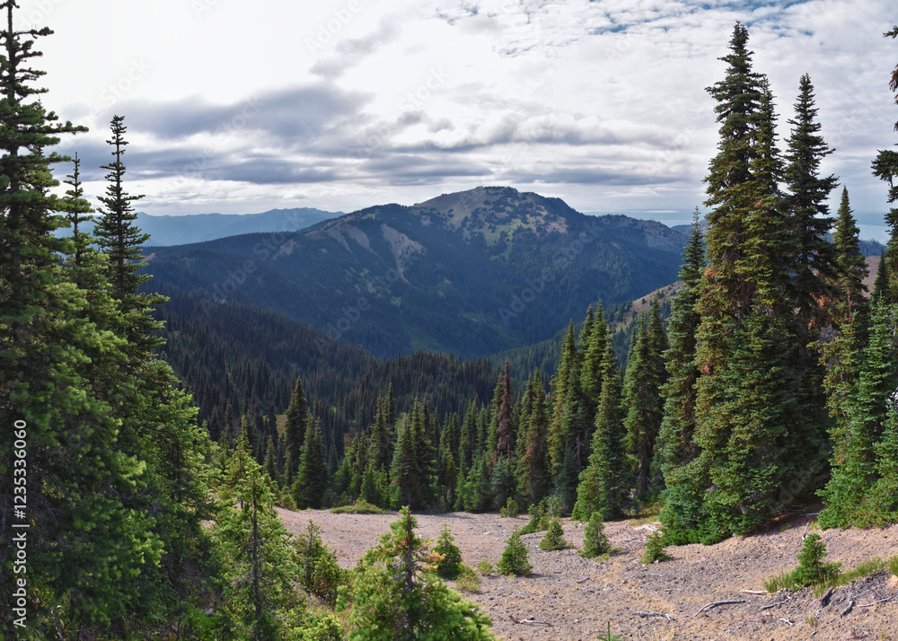 Hurricane Ridge Olympic National Park views from hiking trails by Port Angeles Washington USA
