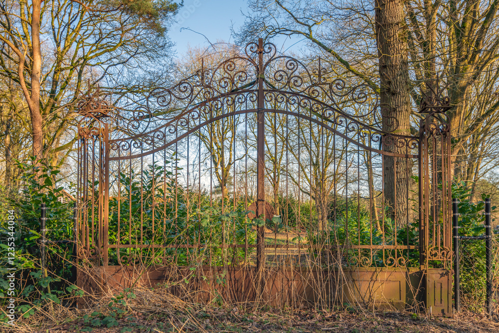 Rusty gate overgrown with plants. The photo was taken on a sunny day in the Dutch winter season.