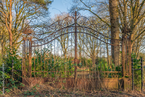 Obraz na płótnie Rusty gate overgrown with plants. The photo was taken on a sunny day in the Dutch winter season. w salonie