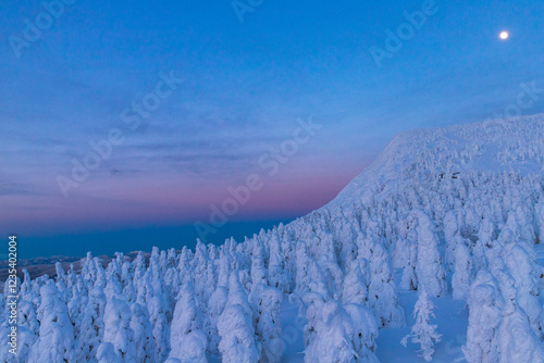  夕暮れの蔵王樹氷
