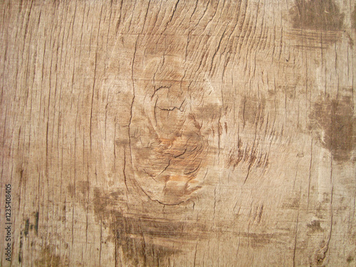 a very natural sharp wood photo from nature