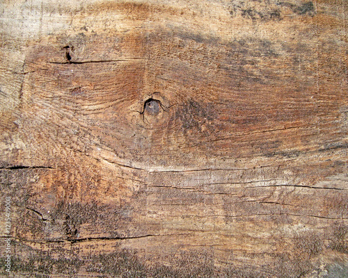 a very natural sharp wood photo from nature