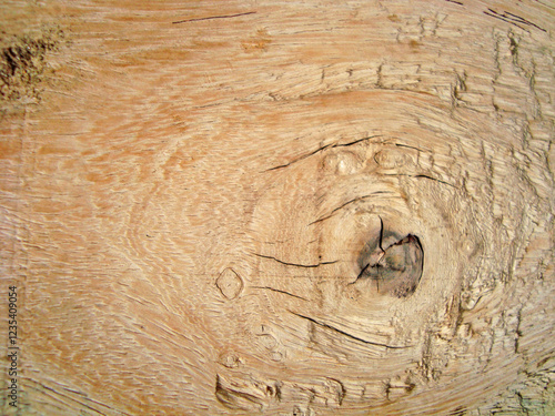 a very natural sharp wood photo from nature