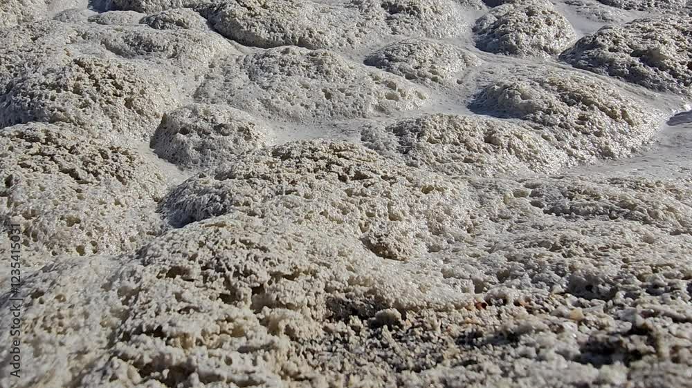 Pollution foam heaving on water surface Pollution foam heaving on water surface