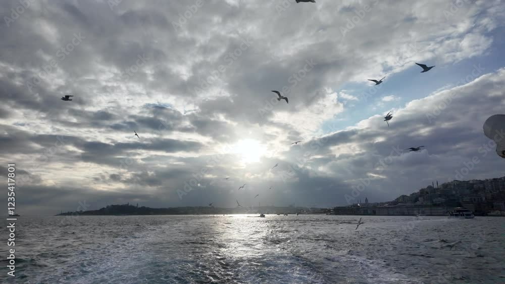 Seagulls soaring over Bosphorus as sun rays pierce clouds in Istanbul Seagulls soaring over Bosphorus as sun rays pierce clouds in Istanbul