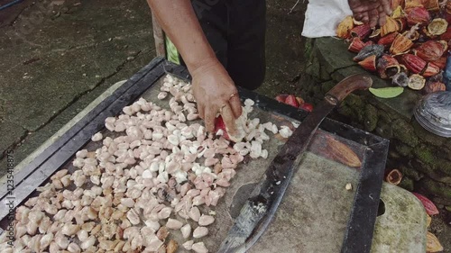Opening cacao pods, revealing fresh beans drying on a sunlit mesh screen in a rural Philippine setting.