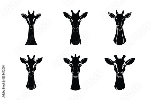 The forehead as well as neck of an enormous giraffe contrary to a white backdrop