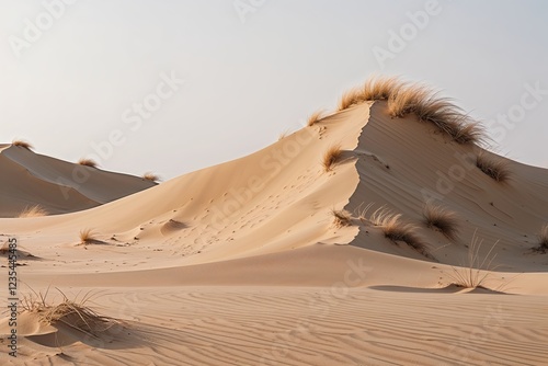 Isolated Desert Sand Dune Pile on White Background photo