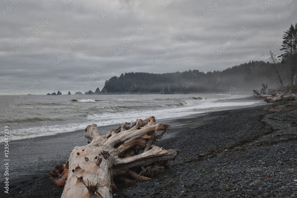 Rialto Beach beach and ocean island views at dusk in Olympic National Park, Washington State, USA. Rialto Beach beach and ocean island views at dusk in Olympic National Park, Washington State, USA.