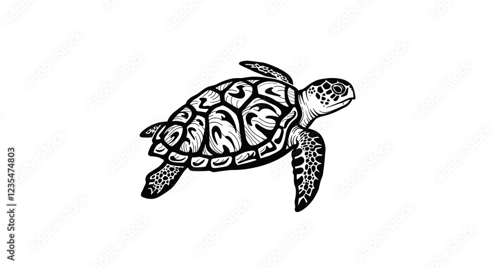 Obraz premium Ornate Black and White Sea Turtle Illustration Detailed Line Art Ocean Animal Graphic