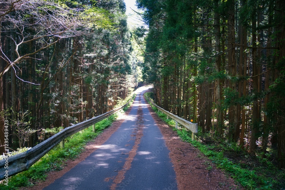 Fototapeta premium 山道 山 道路