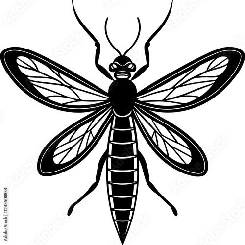Mayfly Silhouette vector with white background