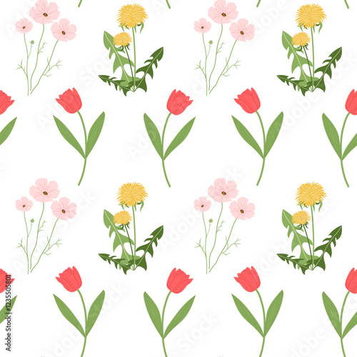 Spring flowers seamless pattern. Cosmos flower, Dandelion, Tulip. Vector flat illustrations. Easter, Spring, Summer flowers. White background photo