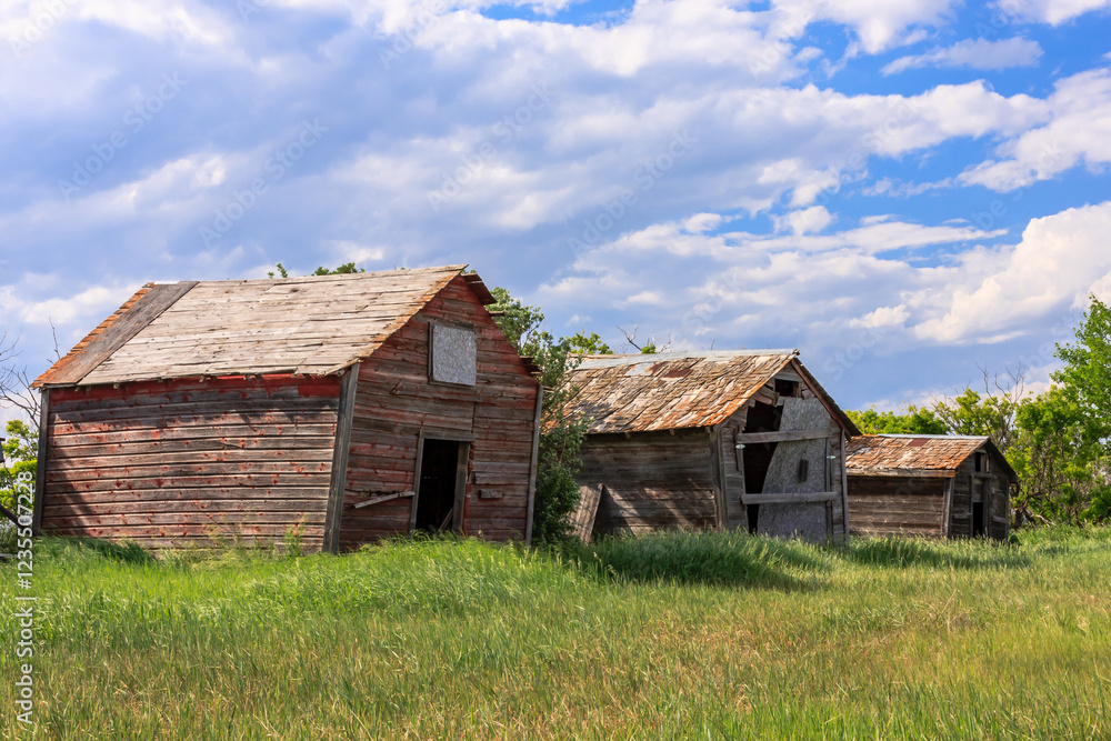 Three old barns are in a field with a cloudy sky Three old barns are in a field with a cloudy sky