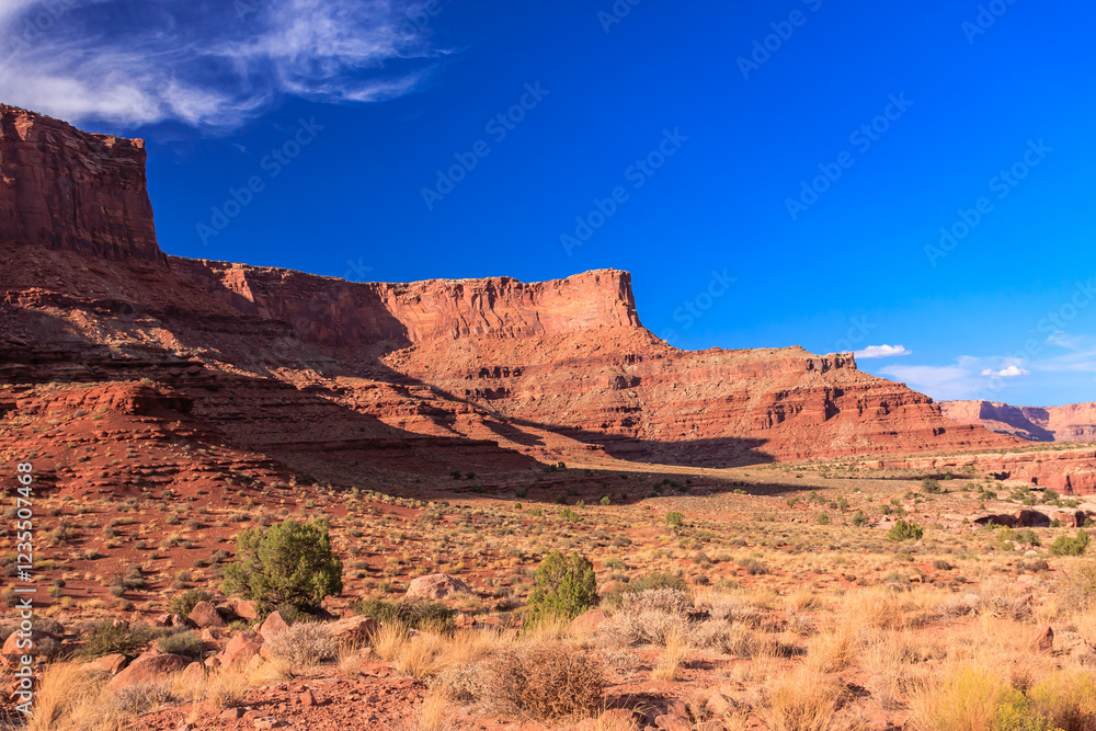 A desert landscape with a blue sky and a mountain in the background A desert landscape with a blue sky and a mountain in the background