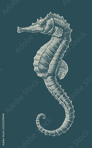 Hand drawn seahorse design illustration