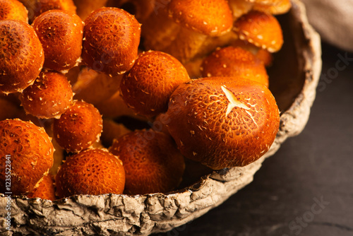 Chestnut mushroom, Pholiota adiposa, head mushroom photo