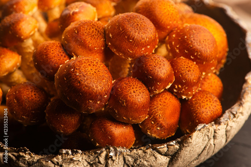 Chestnut mushroom, Pholiota adiposa, head mushroom photo