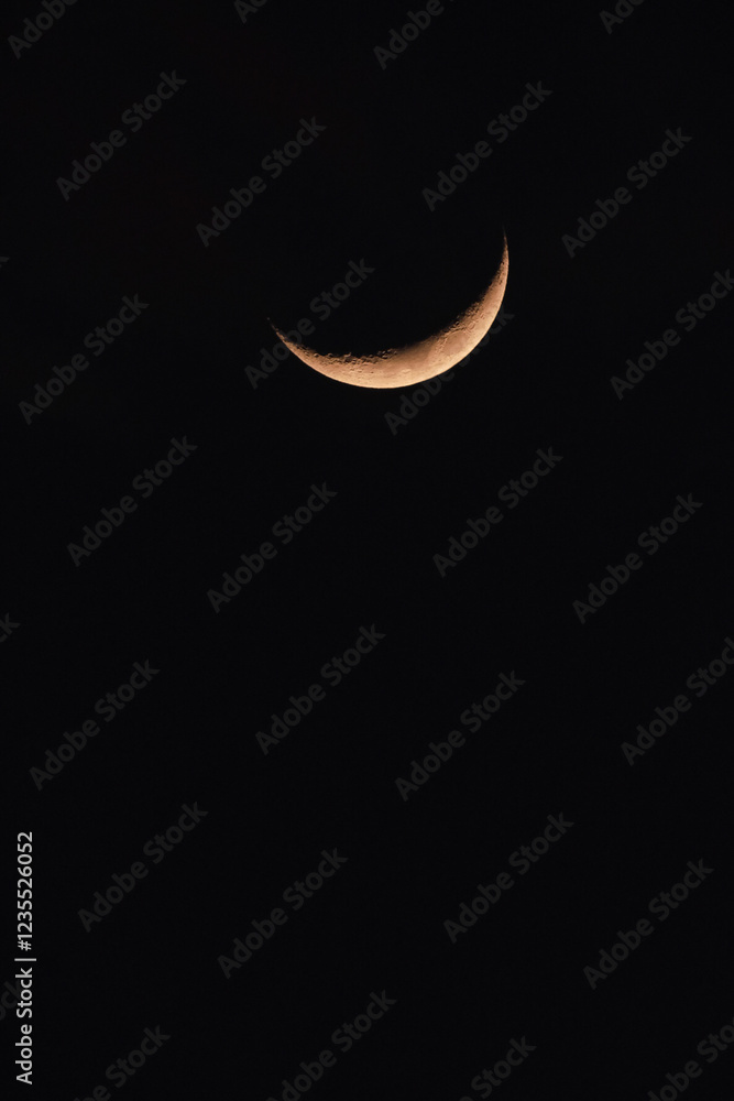 Waxing cresent moon Waxing cresent moon