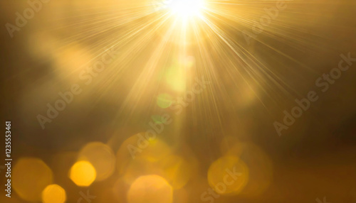 黄金の光　穏やかに差し込む太陽の輝き　