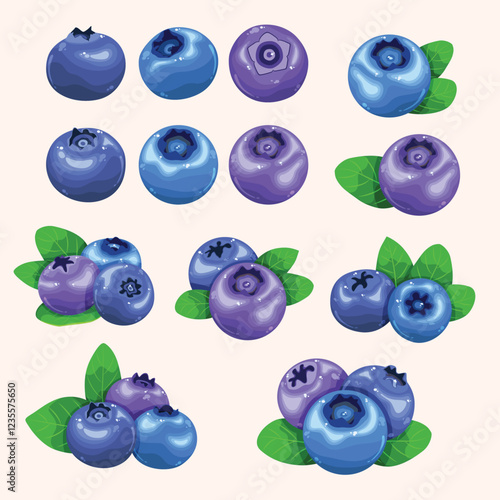 Fruit, Blueberries, Bunches of Berries, Set of Vector Illustrations