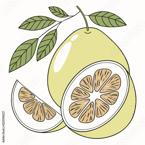 Vibrant Pomelo Illustration with Leaves and Slices