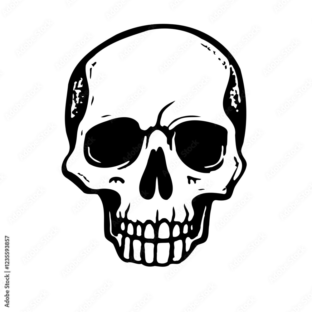 Obraz premium Anatomical Skull Illustration in Black and White