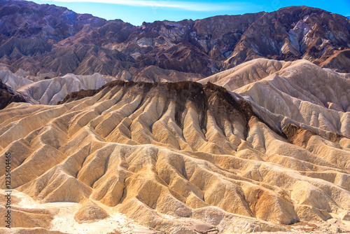 A desert landscape with a mountain range in the background