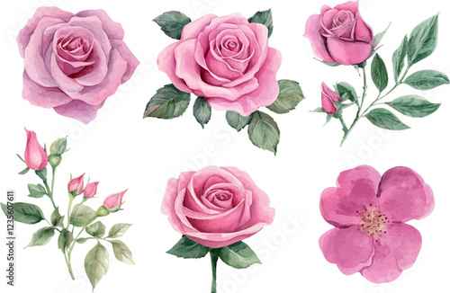 pattern with roses