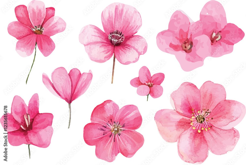 pink flowers on white