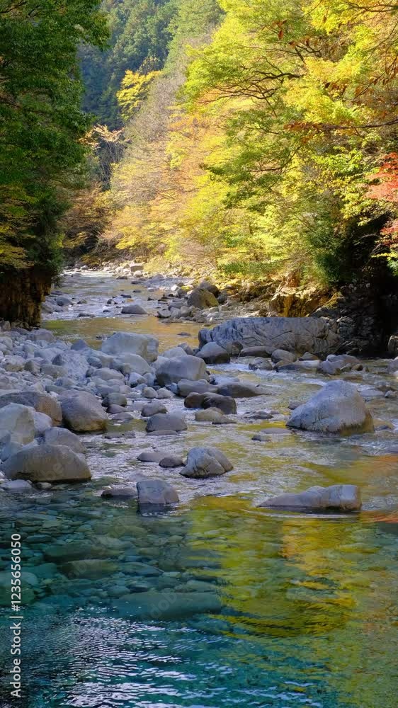 阿寺渓谷 清流と紅葉 熊ヶ淵付近から 長野県
阿寺渓谷 清流と紅葉 熊ヶ淵付近から 長野県