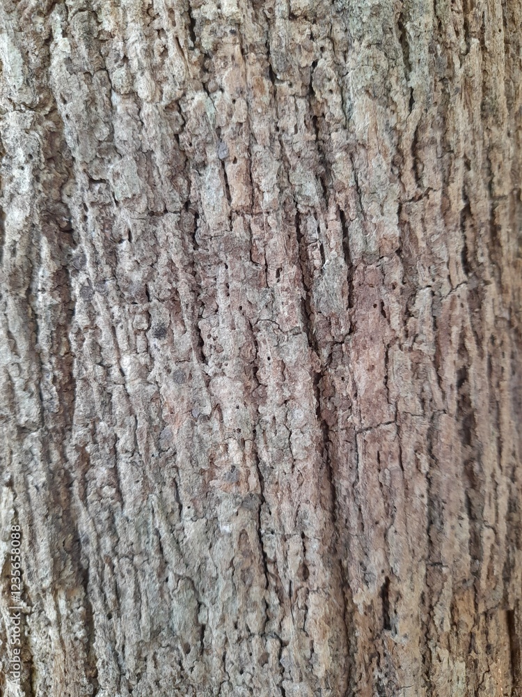 A close-up of teak tree bark texture with deep cracks and rugged patterns, showing off natural brown and gray tones. A close-up of teak tree bark texture with deep cracks and rugged patterns, showing off natural brown and gray tones.