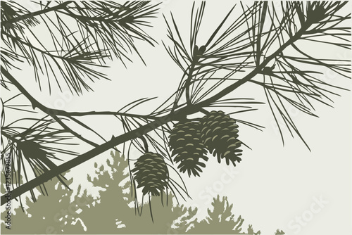 A close-up photograph of a pine tree branch, with several pine cones scattered among the needles. The needles are dark green and have a glossy texture, while the pine cones are brown and have a rough 