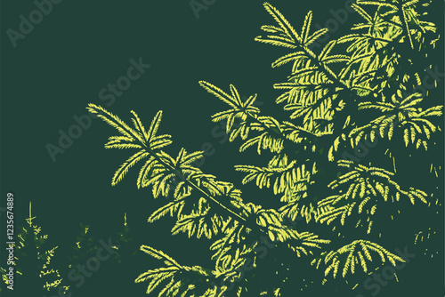  Photo of a dense cluster of evergreen needles, likely from a coniferous tree, with a dark green, almost black, background. The needles are a vibrant green, with a slight yellowish tint on the edges. 