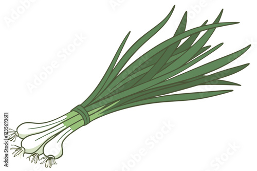 Photo of a bunch of green onions on a white background, taken from above, showing the entire bunch, the onions are green and white with long, thin, green leaves and white bulbs at the bottom, the ligh