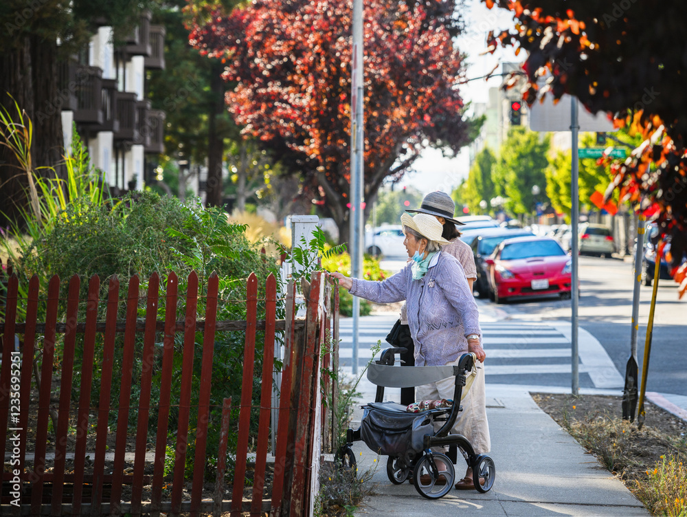 Obraz premium Senior woman walking using a mobility walker on the pedestrian walkway, checking the plants outside the retirement apartment. California.