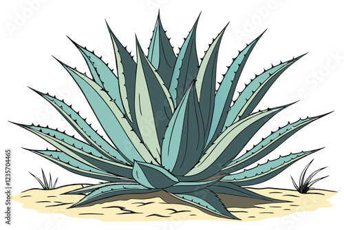 Blue agave plant, spiky leaves, succulent, sharp edges, symmetrical arrangement, desert flora, teal and green colors, botanical illustration, white background, high contrast, photorealistic, detailed 