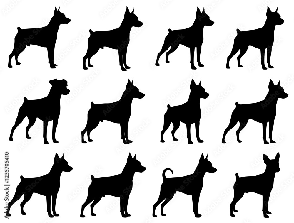 MINIATURE PINSCHER DOG SILHOUETTE ON WHITE BACKGROUND MINIATURE PINSCHER DOG SILHOUETTE ON WHITE BACKGROUND