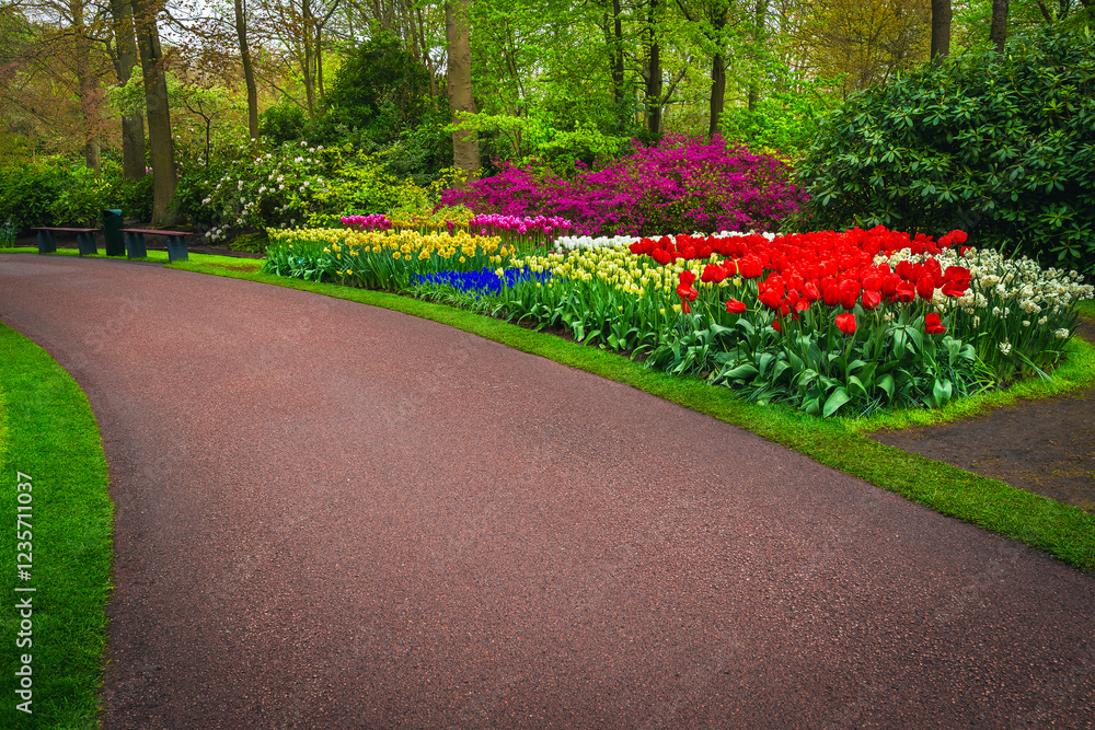 Arranged flower beds with fresh colorful spring flowers, Netherlands