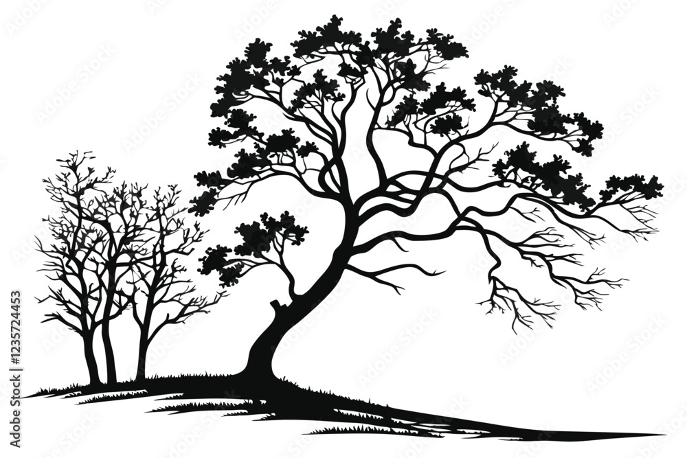 Obraz premium a set of six Silhouette tree in a white background