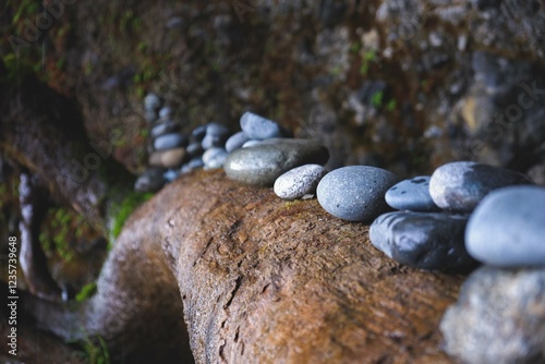 Photography Stacked rocks on a log