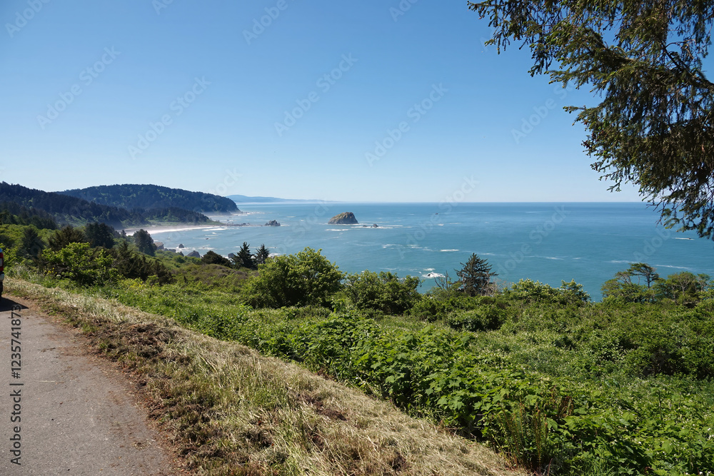 Scenic Coastal View with Cliffs and Ocean at Crescent city, California Scenic Coastal View with Cliffs and Ocean at Crescent city, California
