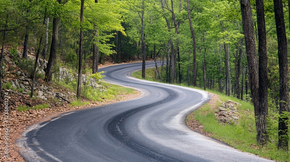 Winding forest road through lush green trees with curve at the front Winding forest road through lush green trees with curve at the front