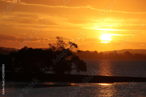 A vibrant orange sunset over a calm bay with a tree silhouetted in the foreground